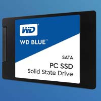 Western Digital WDS500G1B0A WD Blue PC SSD 2.5