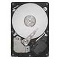 Barracuda ES.2 ST3750330NS