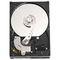WD3200AAKS