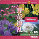 マイザ MIXA&nbsp;IMAGE&nbsp;LIBRARY&nbsp;Vol.85&nbsp;野花繚乱&nbsp;《送料無料》