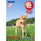 マイザ 丑ROM&nbsp;《送料無料》