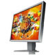FlexScan S2100-GY