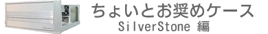 第1弾 SilverStone編