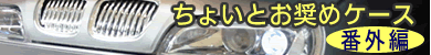 ちょいとお奨めケース 番外編