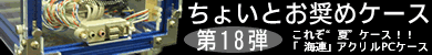 第18弾 これぞ“夏”ケース！！「海連」アクリルPCケース