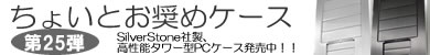 第25弾 ウィンドウトンネルテクノロジー採用「SST-TJ06」