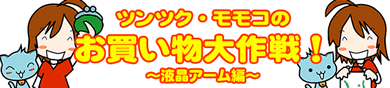 ツンツク・モモコのお買い物大作戦 ～液晶アーム編～