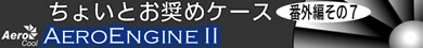 ちょいとお奨めケース 番外編その7