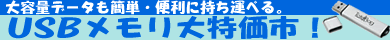 USB������������s�I�^����