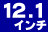 12.1inch