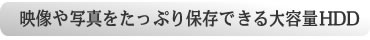 映像や写真をたっぷり保存できる大容量ハードディスクを搭載