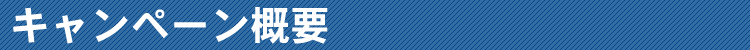キャンペーン概要