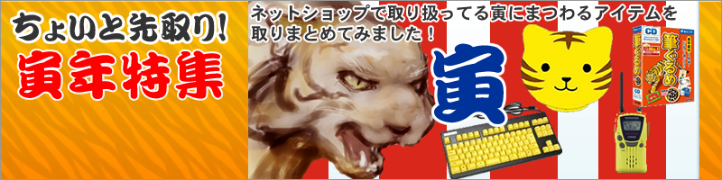 普通のマウスじゃ満足できない！そんなアナタに猫マウス