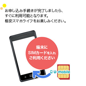 手続き完了後、すぐに利用可能となります。