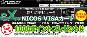 eX.NICOS VISAカードが登場