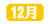 ネット年表_12月