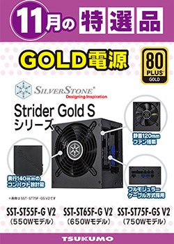 今月のツクモオススメ電源