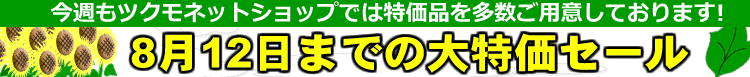 �ĥ����8��12���ޤǤ����ò������롡
