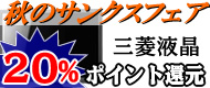 ツクモ祭り　三菱モニタ高額ポイント還元