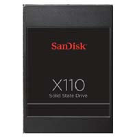 【クリックで詳細表示】SanDisk X110 SD6SB1M-256G-1022I 《送料無料》