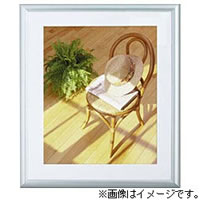 【クリックで詳細表示】アルミガクブチ FAG01L