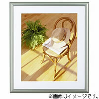 【クリックで詳細表示】アルミガクブチ FAG01L