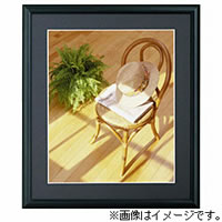 【クリックで詳細表示】アルミガクブチ FAG01L