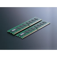 【クリックでお店のこの商品のページへ】BUFFALO PC2-6400 DDR2 ECC DIMM 2枚組 D2/800-E2GX2 《送料無料》