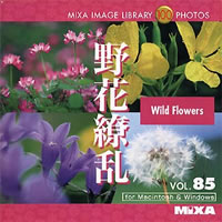 【クリックでお店のこの商品のページへ】MIXA IMAGE LIBRARY Vol.85 野花繚乱 《送料無料》